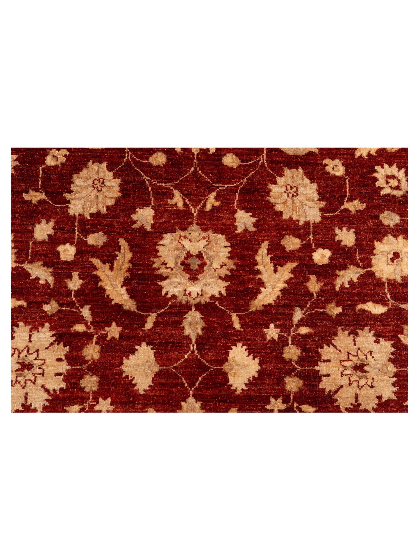 Sultan 121707 Red Ivory 5.4x6.11 Hand Knotted Rug