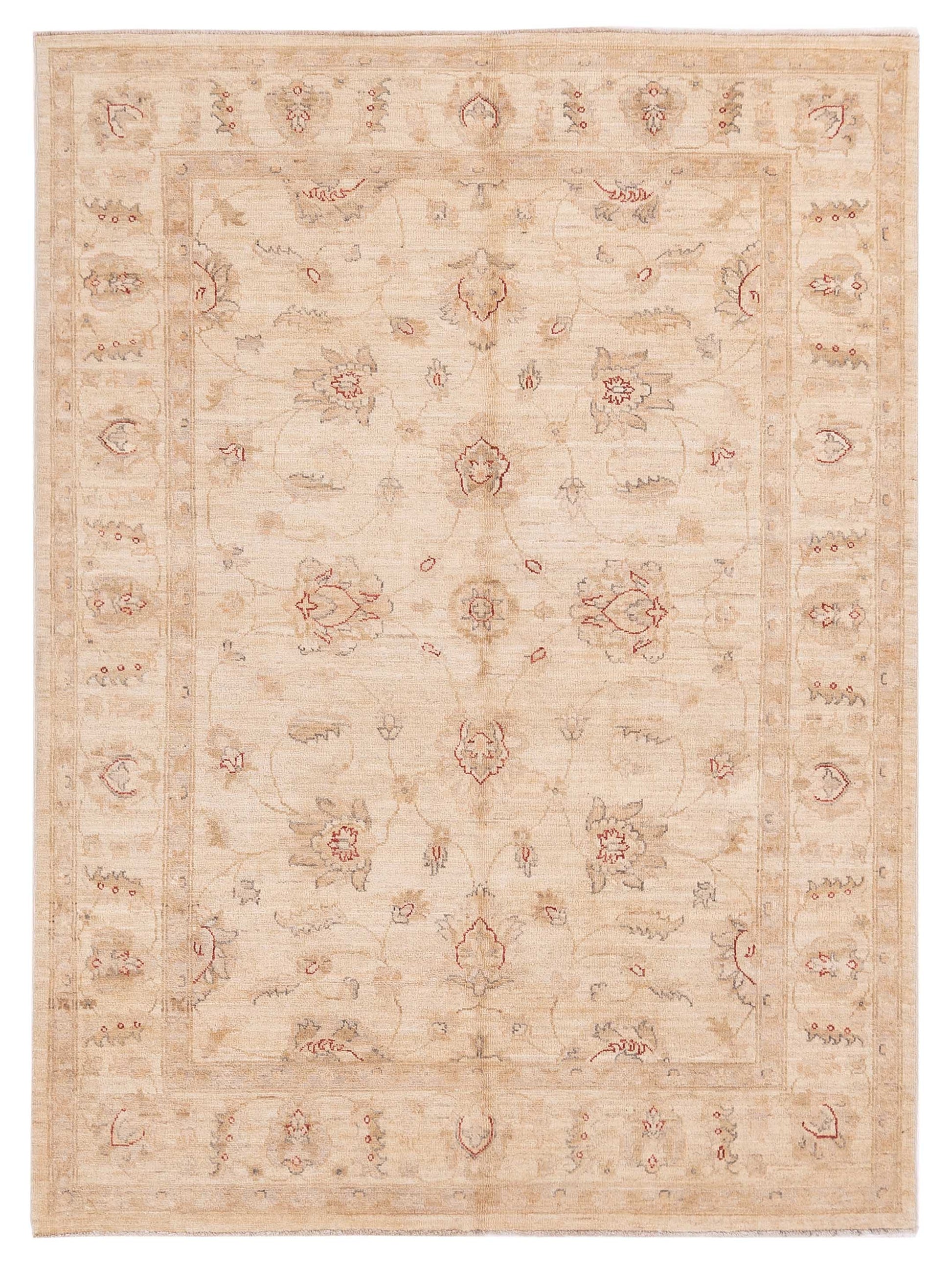 Pasha Sultan  Ivory Ivory Traditional