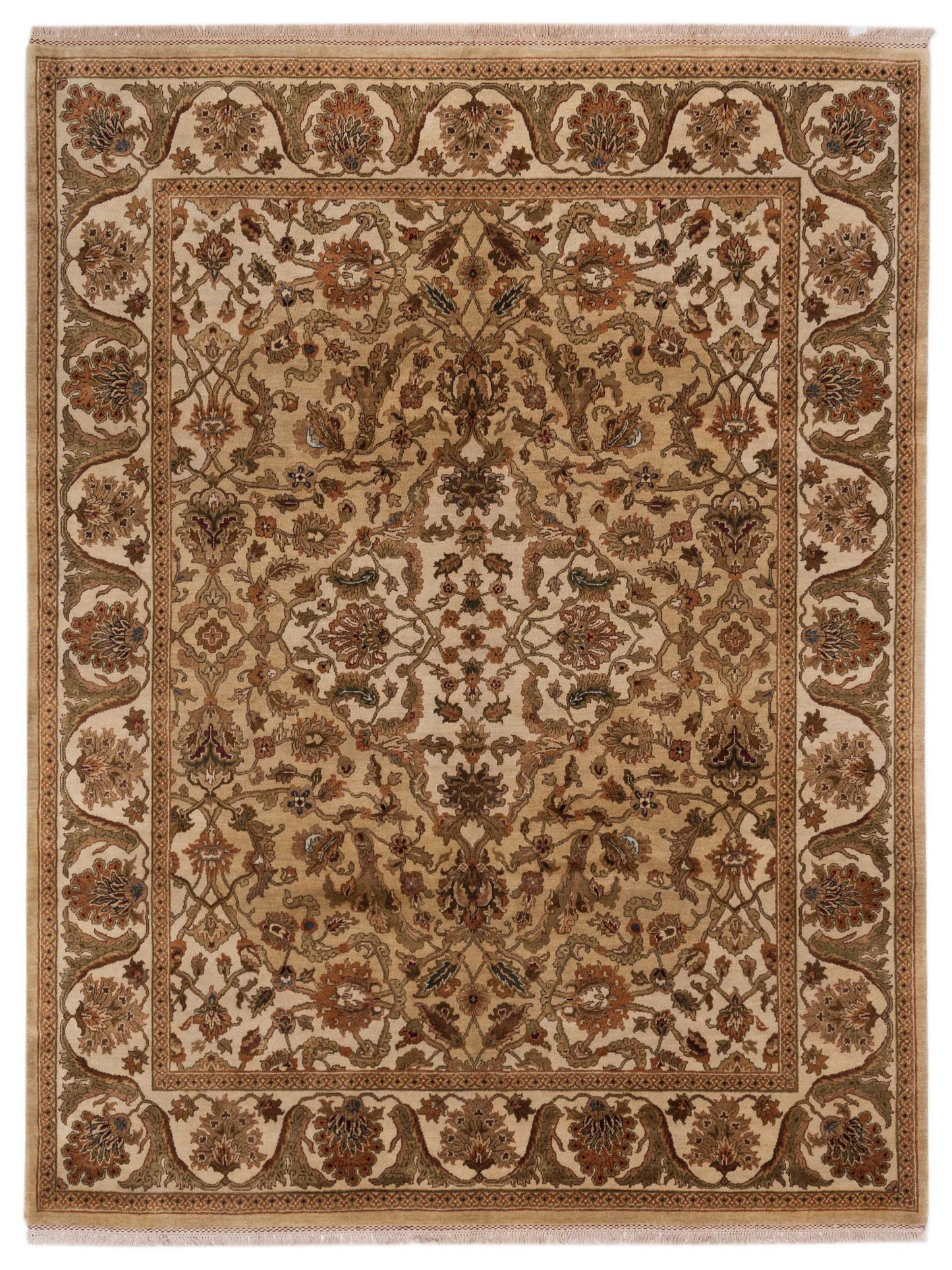 Rajpur Jahan  Camel Ivory Traditional