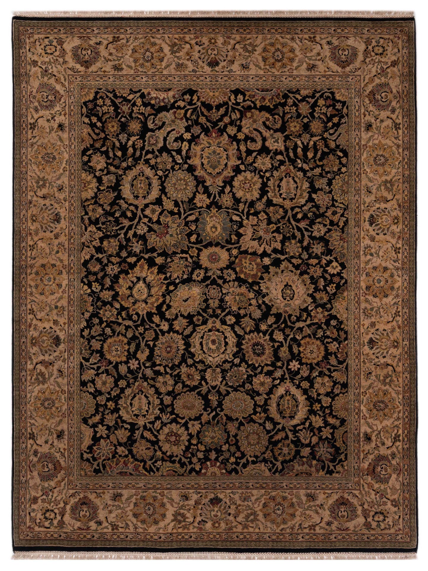 Rajpur Crown  Black Cream Transitional