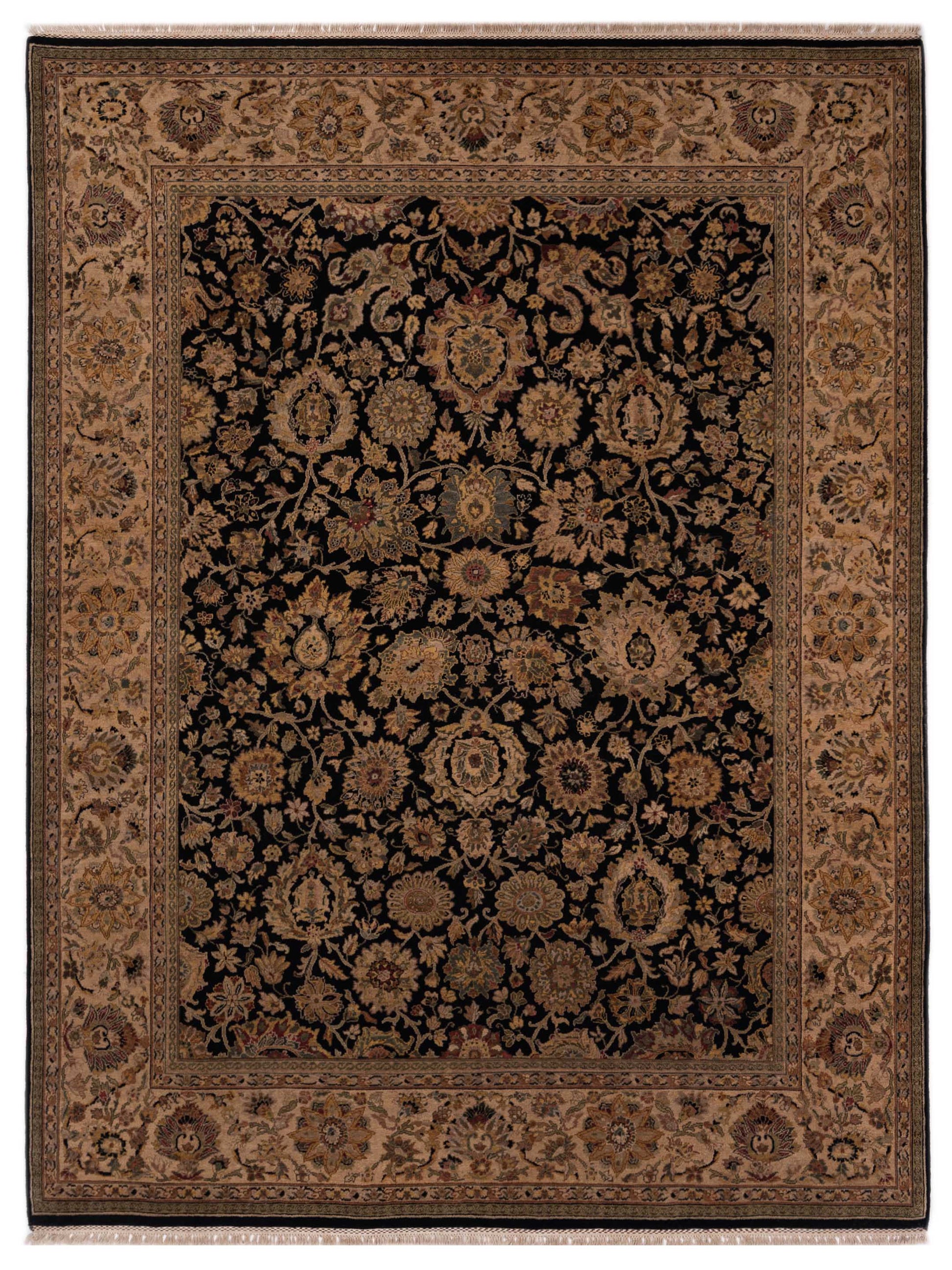 Rajpur Crown  Black Cream Transitional